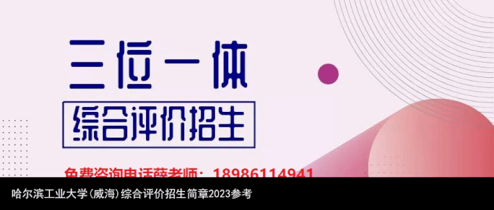 哈尔滨工业大学(威海)综合评价招生简章2023参考