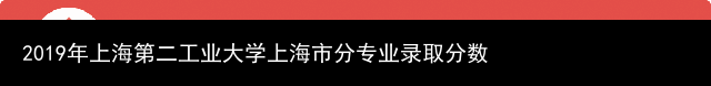 2019年上海第二工业大学上海市分专业录取分数