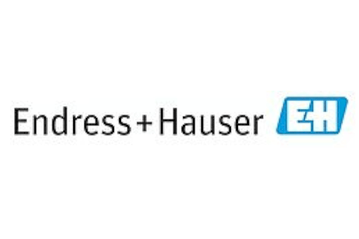 ENDRESS HAUSER是什么品牌？产品型号怎么查？